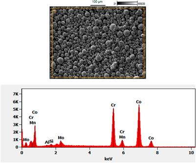 High-temperature tribological properties of Co-29Cr-6Mo alloy fabricated by selective laser melting process